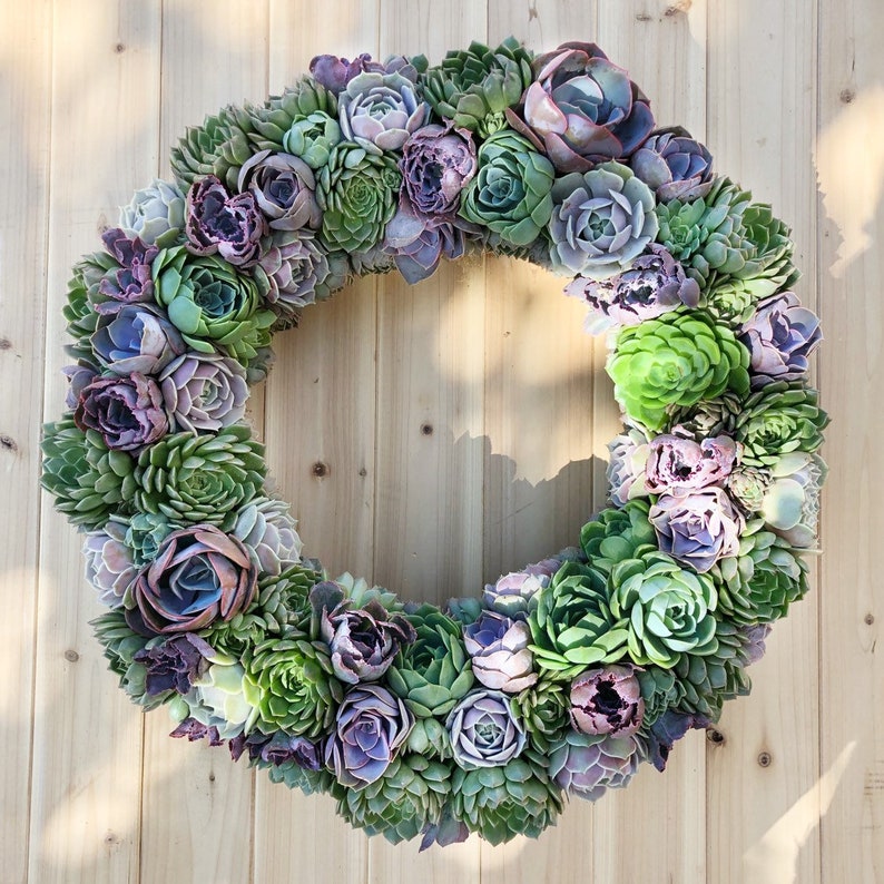 Succulent Wreath, Ashley Wreath, Wedding Day Wreath, Housewarming Gift, Birthday Gift, Easter Gift, Mother's Day gift, Succulent Gift image 4