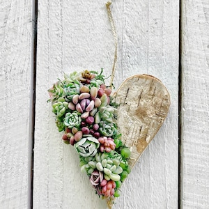 Baby succulent heart ornament, Sweetheart gift!