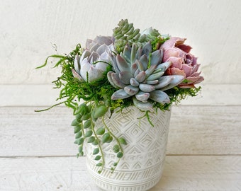 Thinking of You planter with happy, colorful succulents, table decor, Gift for her, succulent Arrangement, Sweetheart Gift