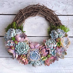 16&quot; Succulent trimmed Grapevine Wreath, &quot;Kimberly&quot; Wreath, Rainbow color, Birthday, Succulent Gift, Easter, Mother&#39;s Day gift