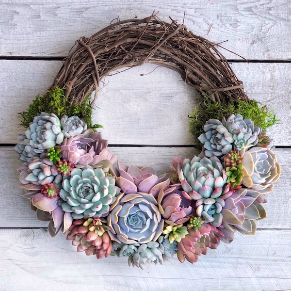 16" Succulent trimmed Grapevine Wreath, "Kimberly" Wreath, Rainbow color, Birthday, Succulent Gift, Easter, Mother's Day gift