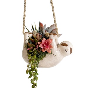 Hanging Sloth Ceramic Planted with Colorful Succulents, Home Decor, Succulent Arrangement, succulent gift