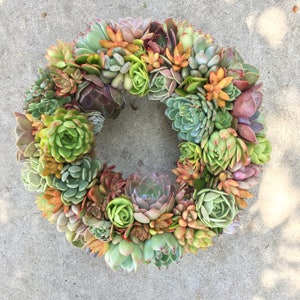 Succulent "Vibrant Spring" Holiday Wreath, Succulent Door Wreath, Housewarming Gift, Hostess or Client Gift, Succulent Gift, Mothers Day