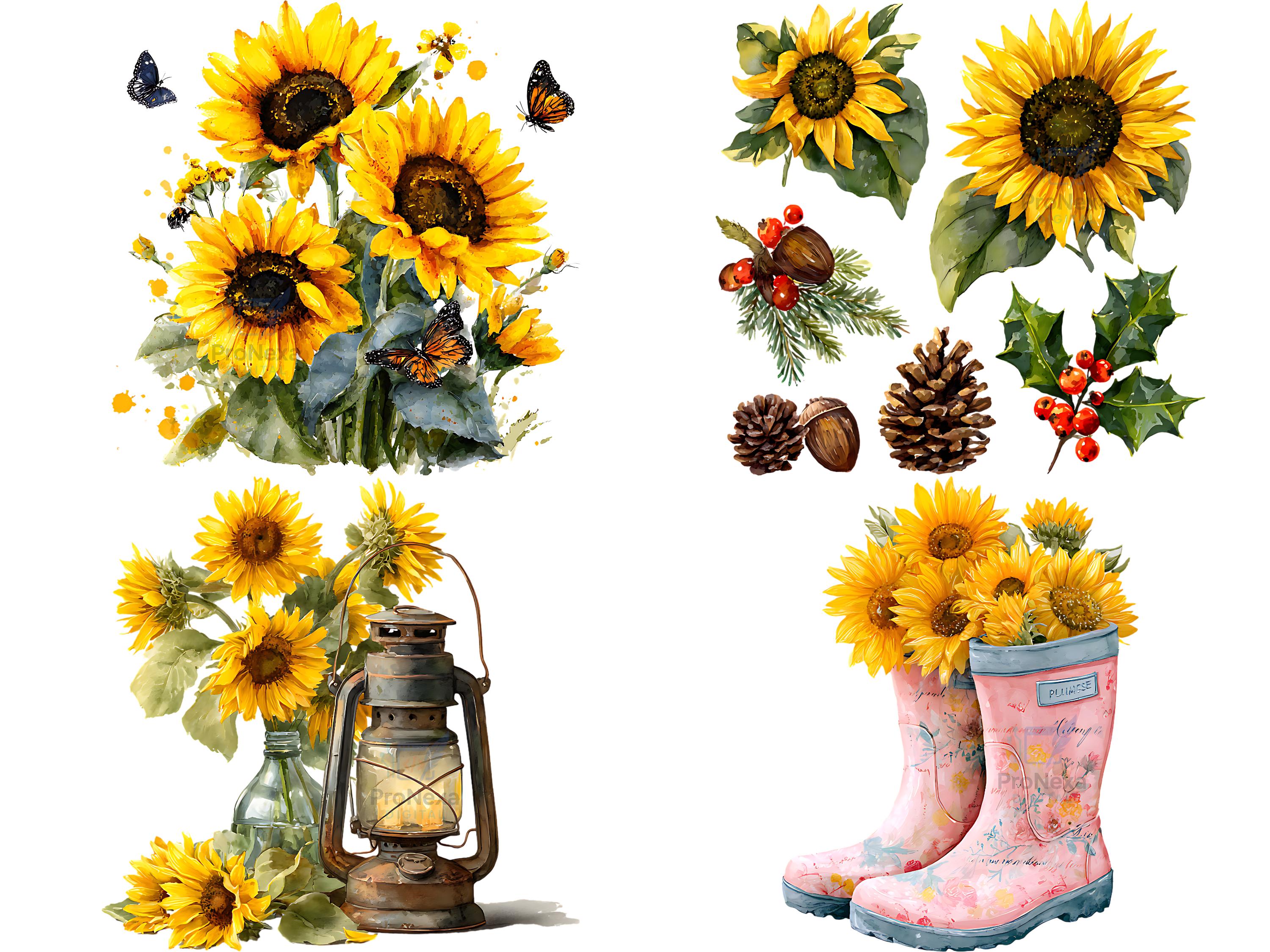 Watercolor Sunflower Clipart Bundle: 31 PNG Floral Art (digital ...