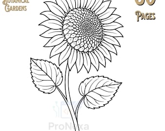 Enchanted Garden Coloring Book: 60 Floral Designs for Adults & Kids (PDF Printable)