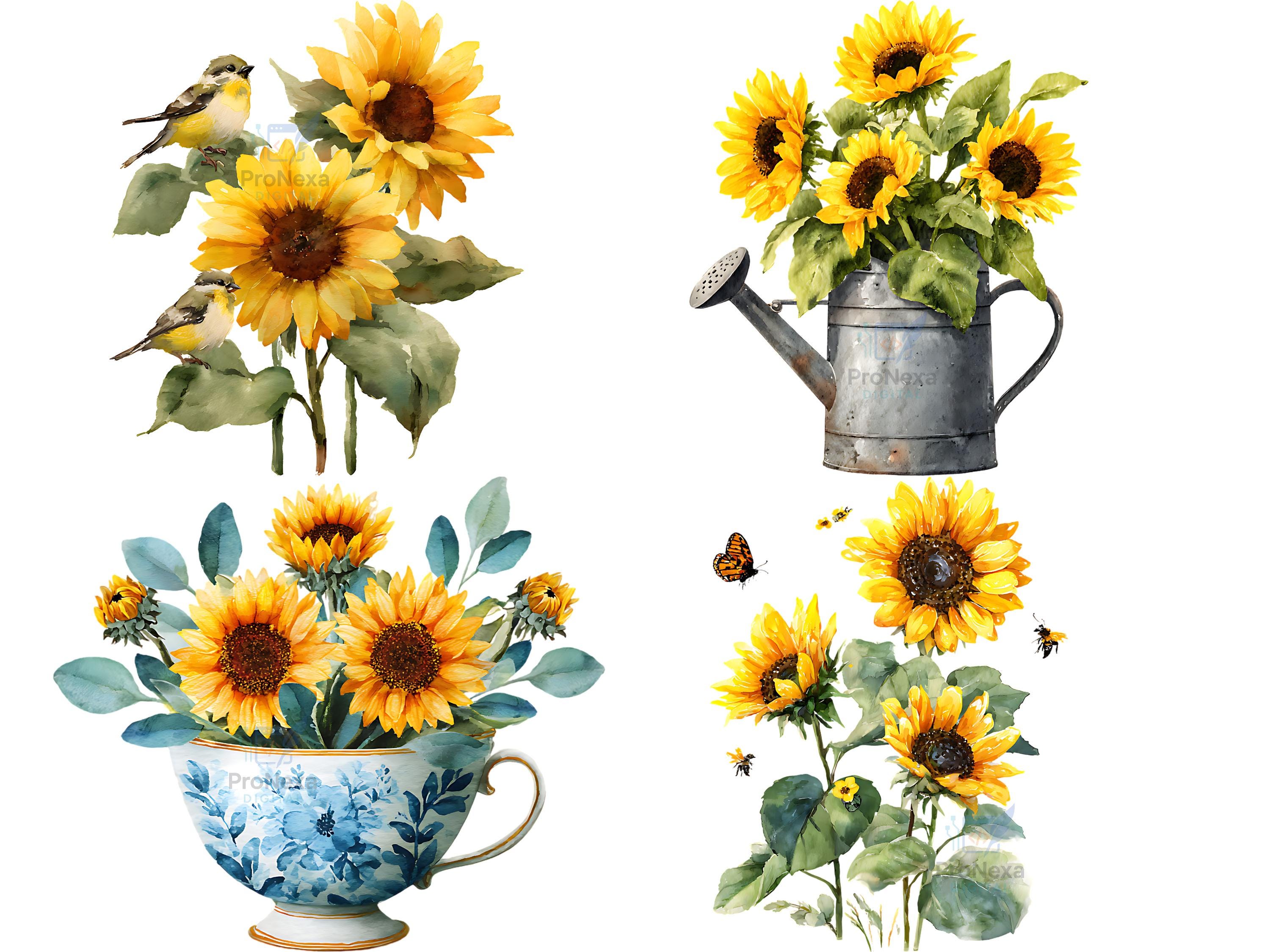 Watercolor Sunflower Clipart Bundle: 31 PNG Floral Art (digital ...