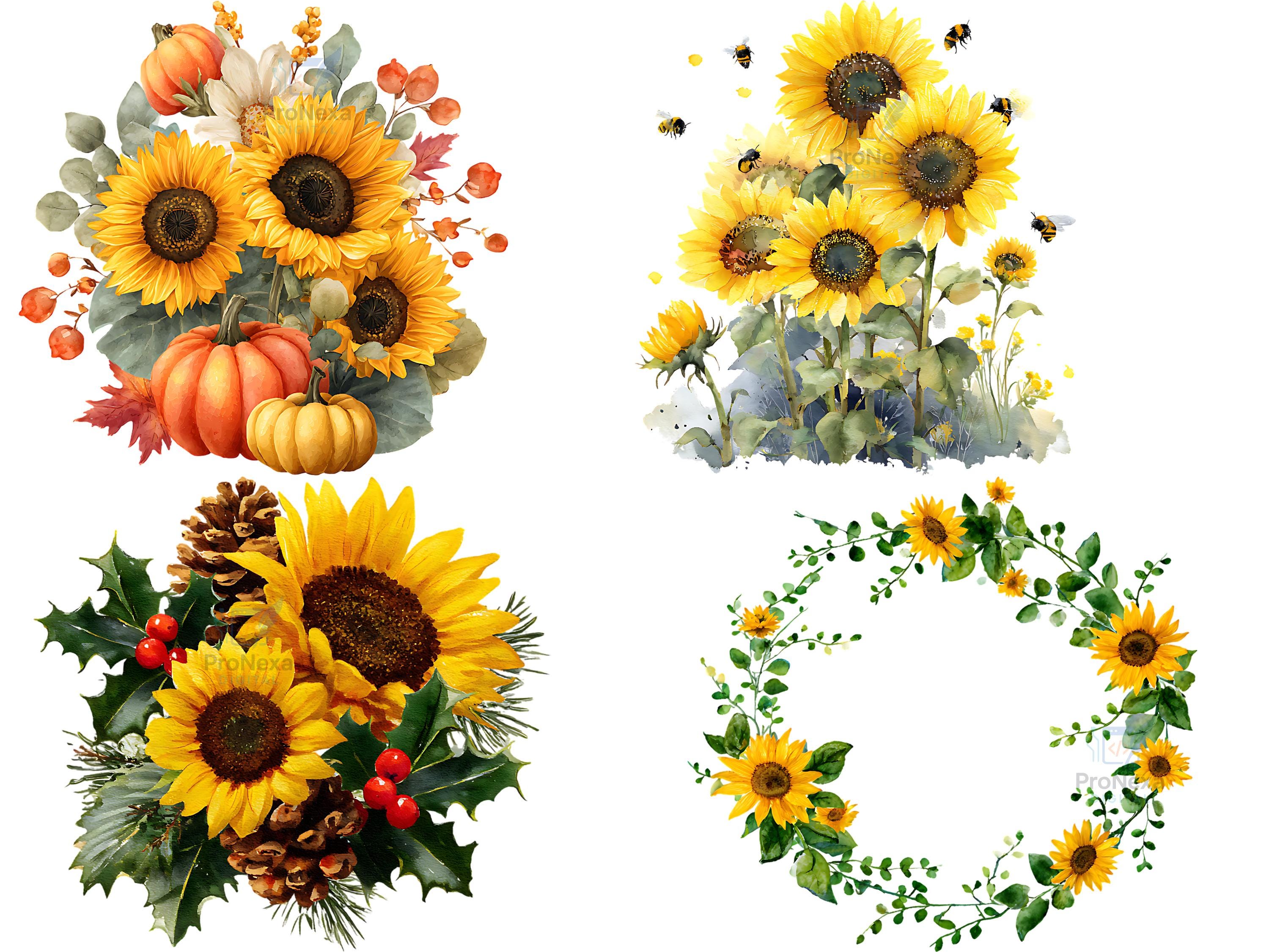 Watercolor Sunflower Clipart Bundle: 31 PNG Floral Art (digital ...
