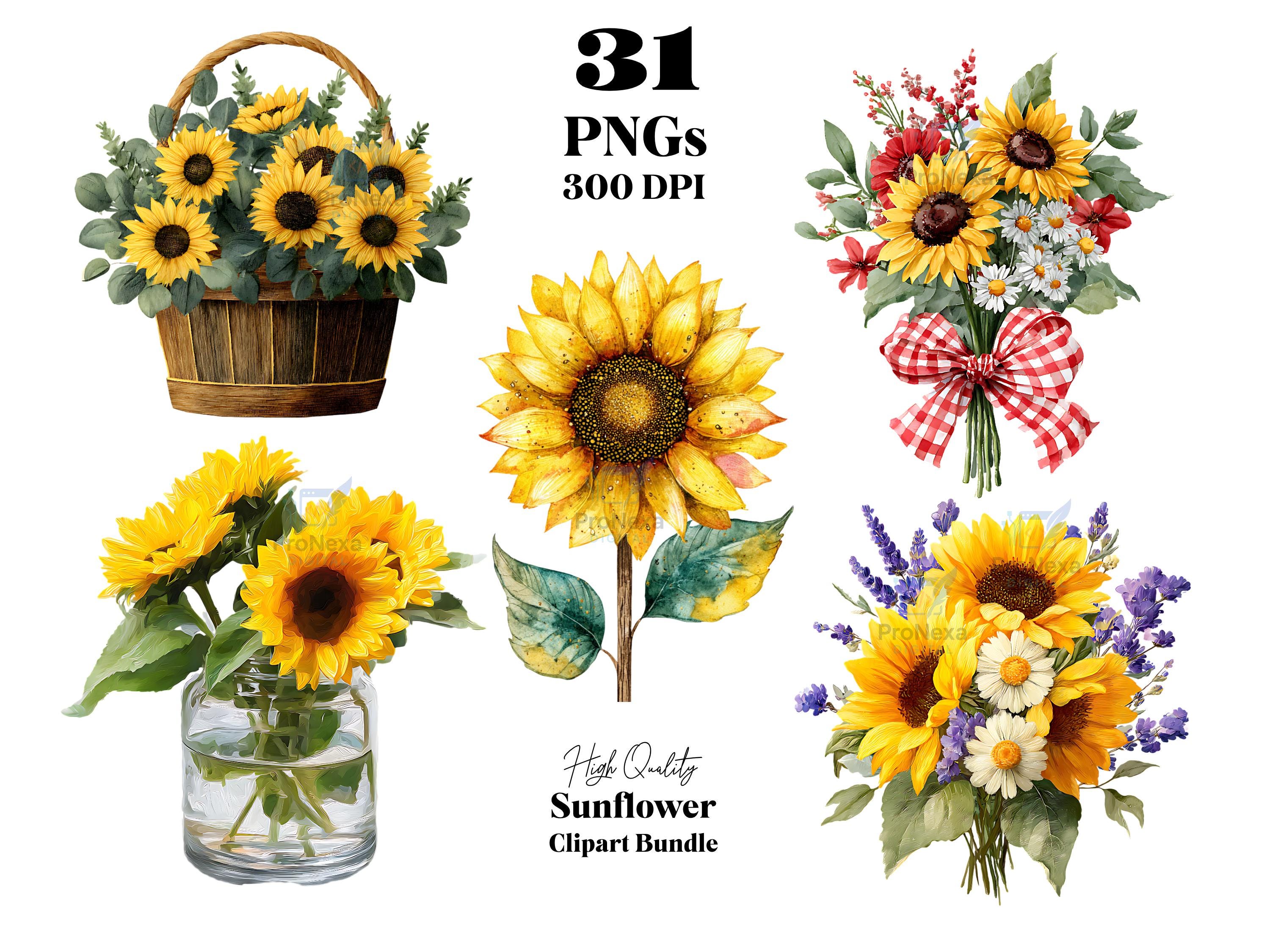 Watercolor Sunflower Clipart Bundle: 31 PNG Floral Art (digital ...