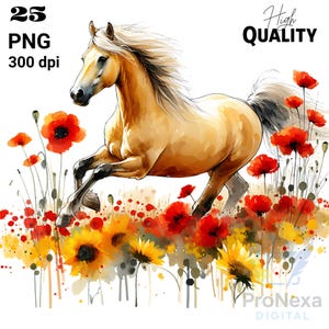 25 Watercolor Horse Clipart PNG Bundle | Running Horses, Floral Meadows, Wild Stallions | 300 DPI, Transparent Backgrounds