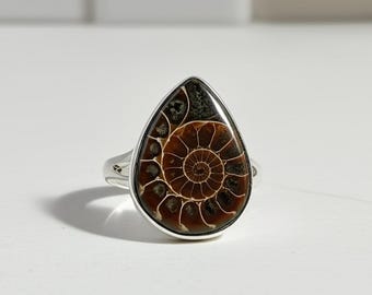 Ammonite Fossil Ring: Pear 925 Sterling Silver Statement Jewelry
