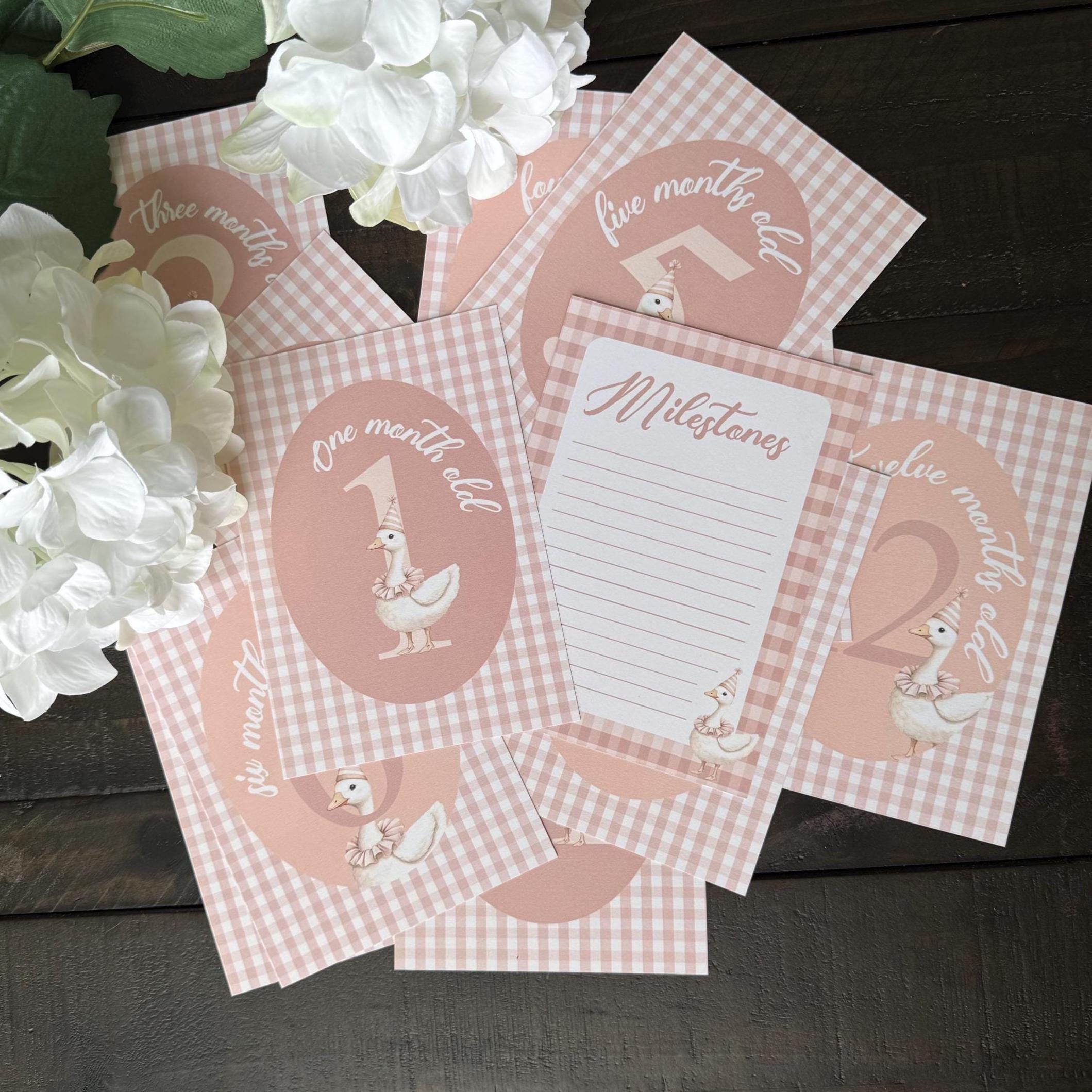 Biglietti per le tappe mensili della neonata / Tema oca a quadretti rosa 5x7 / Accessori per foto di neonati / Regalo per baby shower / Segnali di età mensili