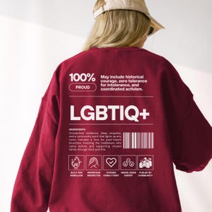 LGBTQ+ Sweatshirt, Gay Rights Sweater, Funny Lesbian Crewneck, Queer Community Gift, Pride Aesthetic Apparel, lgbtqia tshirt