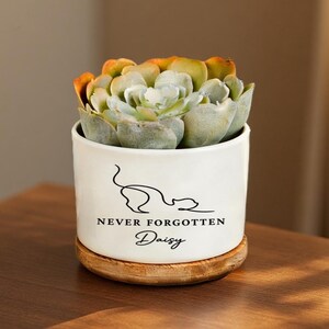 May include: A white ceramic pot with a succulent plant, on a wooden coaster. The pot features a black cat silhouette and the text "Never Forgotten Daisy". The succulent has green and orange leaves.