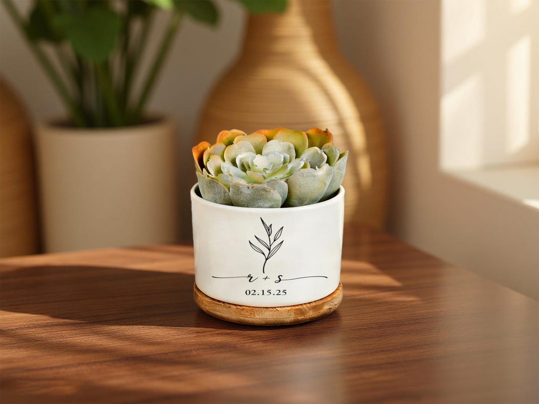 Personalized Succulent Planter Pot,custom Succulent Pot,minimalist Line ...