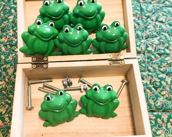 Könnte beinhalten: Ein Set aus sieben grünen, froschförmigen Schrankknöpfen mit weiß-schwarzen Augen, aufbewahrt in einer hellen Holzschachtel. Das Set enthält mehrere Metallschrauben und Befestigungsteile, die alle im Inneren des offenen Holzbehälters liegen.