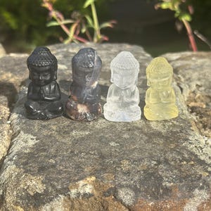 May include: Four miniature Buddha statues in black, brown, clear, and yellow. Each is seated with hands in prayer. The statues are displayed on a rough, grey stone surface, with foliage in the background. The statues are made of different materials.