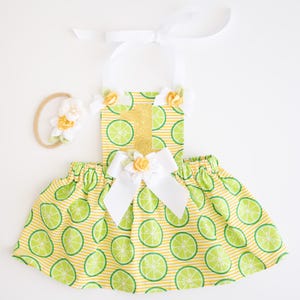 Lime 1st Birthday Outfit – Citrus Summer Cake Smash Dress – Glitter One Dress – Lime Birthday Dress – Lemon Birthday Tutu-Lemon 1st Birthday