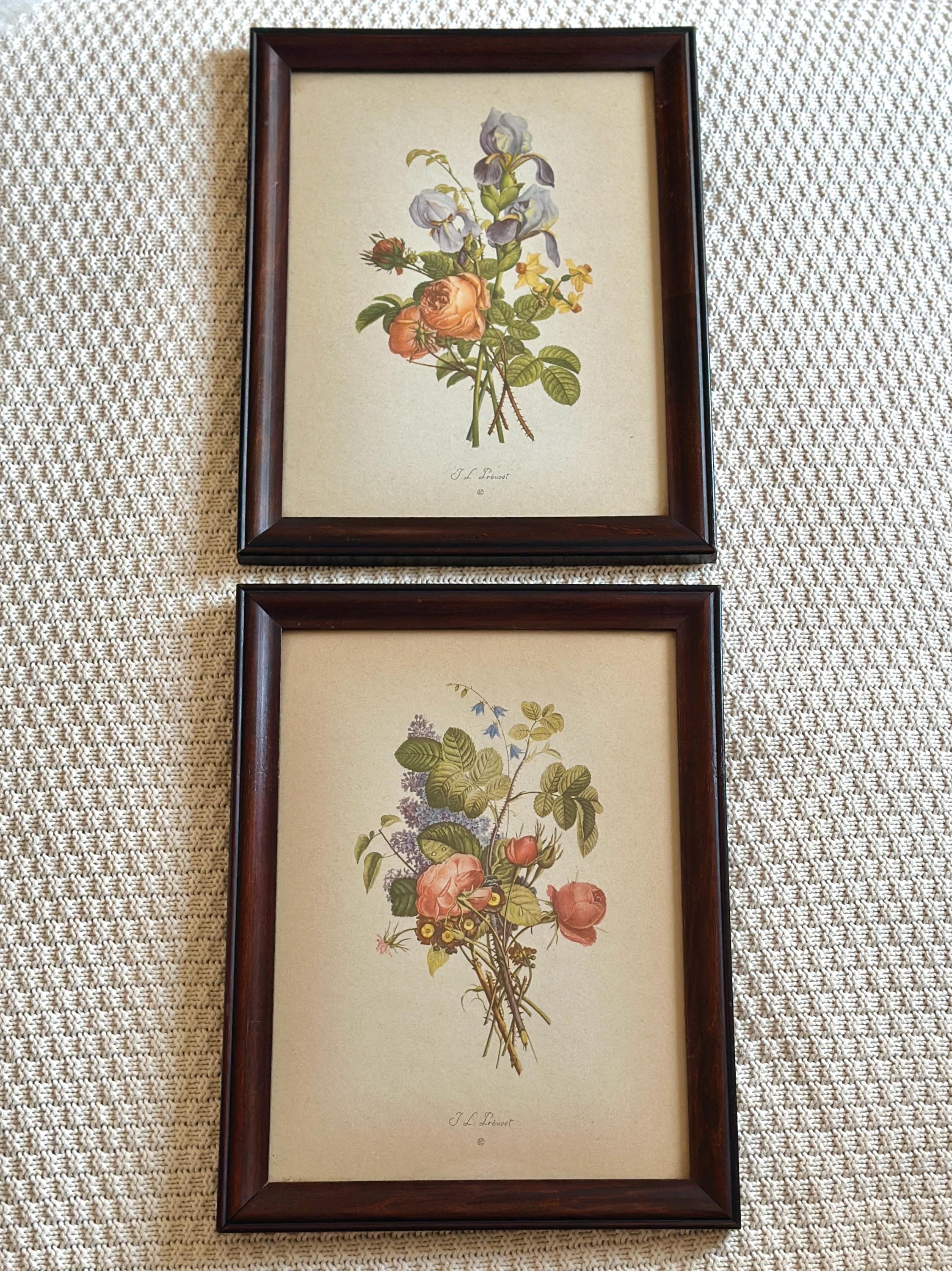 Vintage Framed Floral Prints, Set of 2 – J.L. Prévost Botanical Art ...