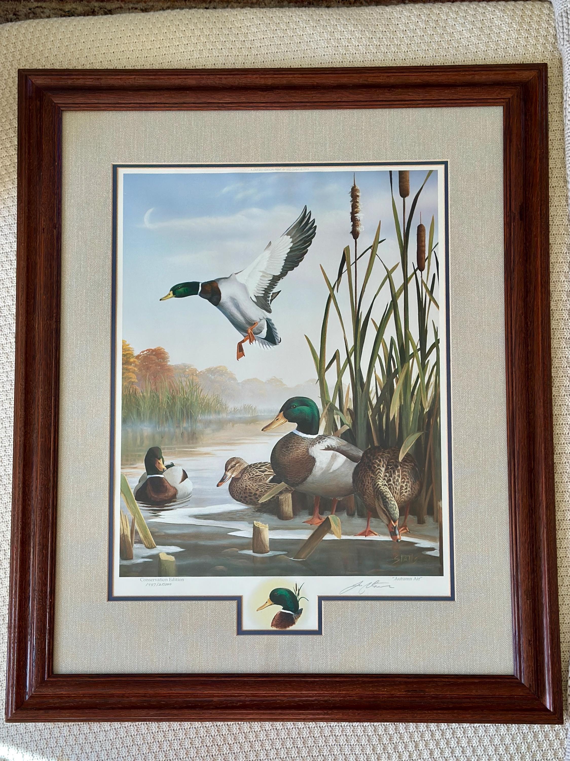 Framed Vintage Duck Print – “autumn Air” by Leo Stans (1993
