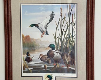 英国　John Mortlock 金彩　鳥文様　キャビネットプレート Framed Vintage Duck Print – “autumn Air” by Leo Stans (1993