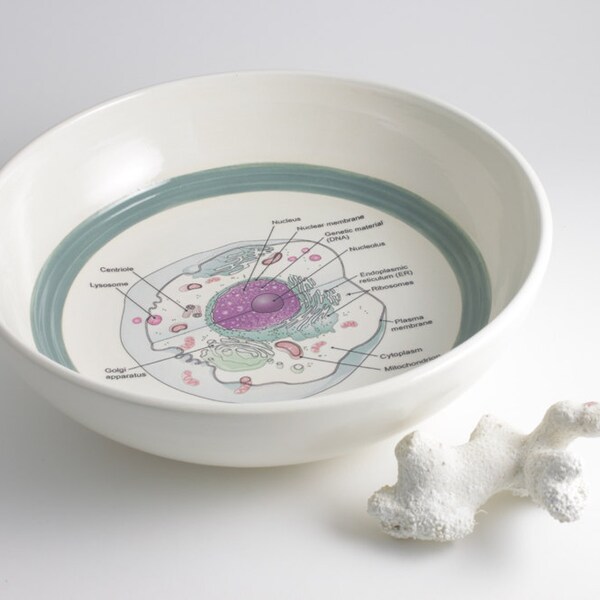 Cell Biology Bowl - Anatomy Illustration in Aquamarine and White