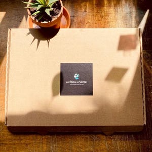 May include: A brown cardboard box with a black square label featuring the text "en Bleu et Verre" and a small plant in a terracotta pot. The plant has green spiky leaves. The box is on a wooden surface.