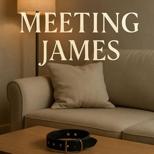 Meeting James: A First-Time Submissive Learns to Please