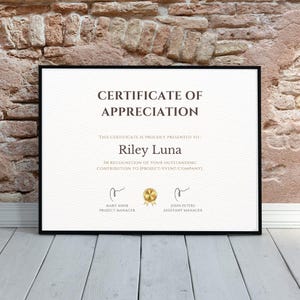 Editable Appreciation Certificate Template: Elegant Employee Recognition (Canva, Digital Download)