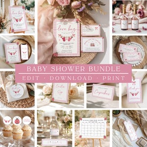 Zestaw na baby shower „Love Bug” | Zestaw dekoracji na imprezę „Biedronka” w różową kratkę (do natychmiastowego pobrania)