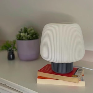 May include: A white, ribbed table lamp with a grey base sits on two books with red covers. The lamp has a rounded, mushroom-like shape. In the background, a small potted plant and a larger purple pot with a green plant are visible.