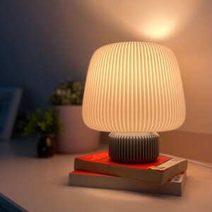 May include: A contemporary table lamp featuring a cream-coloured, ribbed lampshade and a grey base. The lamp rests on two books with red covers. The background includes a white surface and a potted plant.