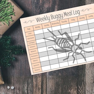 Reptilien wöchentliche Mahlzeit Diagramm: Feeder Tracker, digitaler Download, druckbar, Tank Dekor, Geschenk, Pflege Blatt, niedlich, Käfer, Eidechse, Gecko, Frosch, Plan