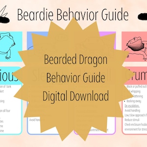 Bearded Dragon Behavior Guide: Reptile Care Sheet Digital Download, Printable, Beardies, Feelings, Gifts, New Pet, Tank Decor, Lizard, Cute