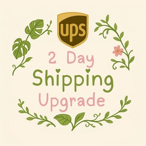 UPS 2 Day Shipping Upgrade