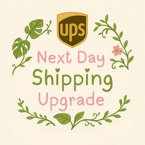 UPS Next Day Shipping Upgrade