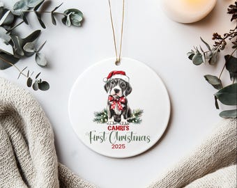 Personalized Great Dane Puppy’s First Christmas Ornament, Custom Dog Lover Gift, New Puppy Keepsake, First Christmas Gift, Great Dane Lover
