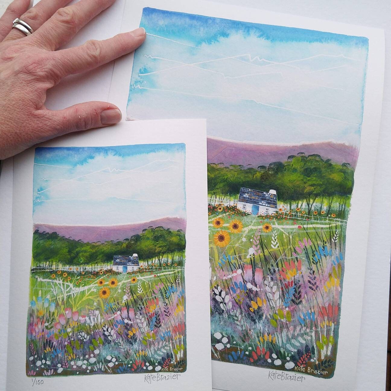 Sunflower Cottage - A5 & A4 - Signed Limited Edition Print - Etsy
