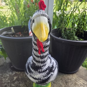Chicken porch goose outfit, goose costume, barred rock goose costume, poltury, farm chickens, homesteading, chicken coop, lawn goose,