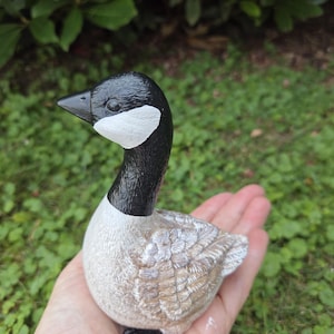 K&ouml;nnte beinhalten: Eine handbemalte G&auml;nsefigur mit schwarzem Kopf und Hals, einem wei&szlig;en Wangenfleck und einem beigefarbenen K&ouml;rper mit detaillierten Federmustern. Die Gans hat schwarze F&uuml;&szlig;e und einen schwarzen Schnabel. Die Figur wird in der Hand einer Person gehalten.