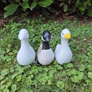 K&ouml;nnte beinhalten: Drei dekorative G&auml;nsefiguren. Zwei sind wei&szlig; mit strukturierten Oberfl&auml;chen, und eine ist eine Kanadagans mit schwarzem Kopf und Hals, einem wei&szlig;en Wangenfleck und einem beigen K&ouml;rper. Sie sind auf gr&uuml;nem Gras angeordnet.