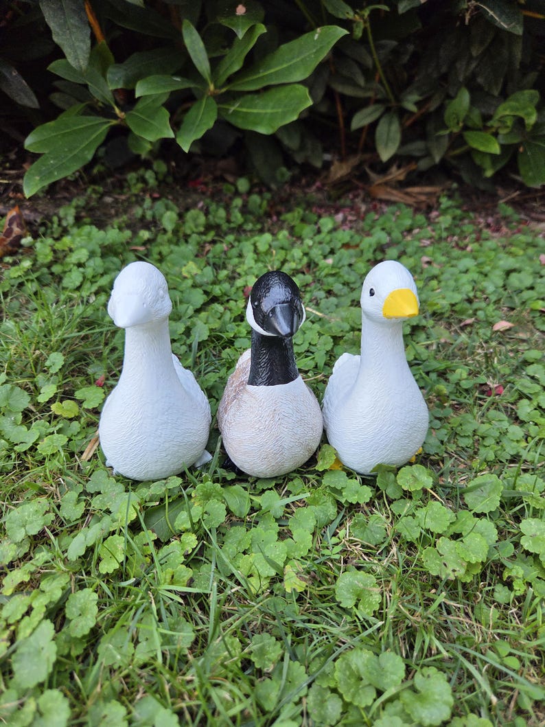 K&ouml;nnte beinhalten: Drei dekorative G&auml;nsefiguren. Zwei sind wei&szlig; mit strukturierten Oberfl&auml;chen, und eine ist eine Kanadagans mit schwarzem Kopf und Hals, einem wei&szlig;en Wangenfleck und einem beigen K&ouml;rper. Sie sind auf gr&uuml;nem Gras angeordnet.