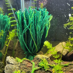 Weighted Fish spawning mop, weighted spawning mat, live bearers, fish breeding, aquarium, fish tank, breeding supplies