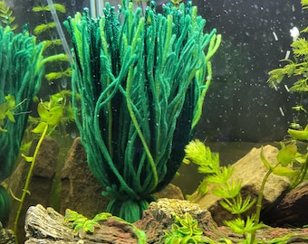 Weighted Fish spawning mop, weighted spawning mat, live bearers, fish breeding, aquarium, fish tank, breeding supplies