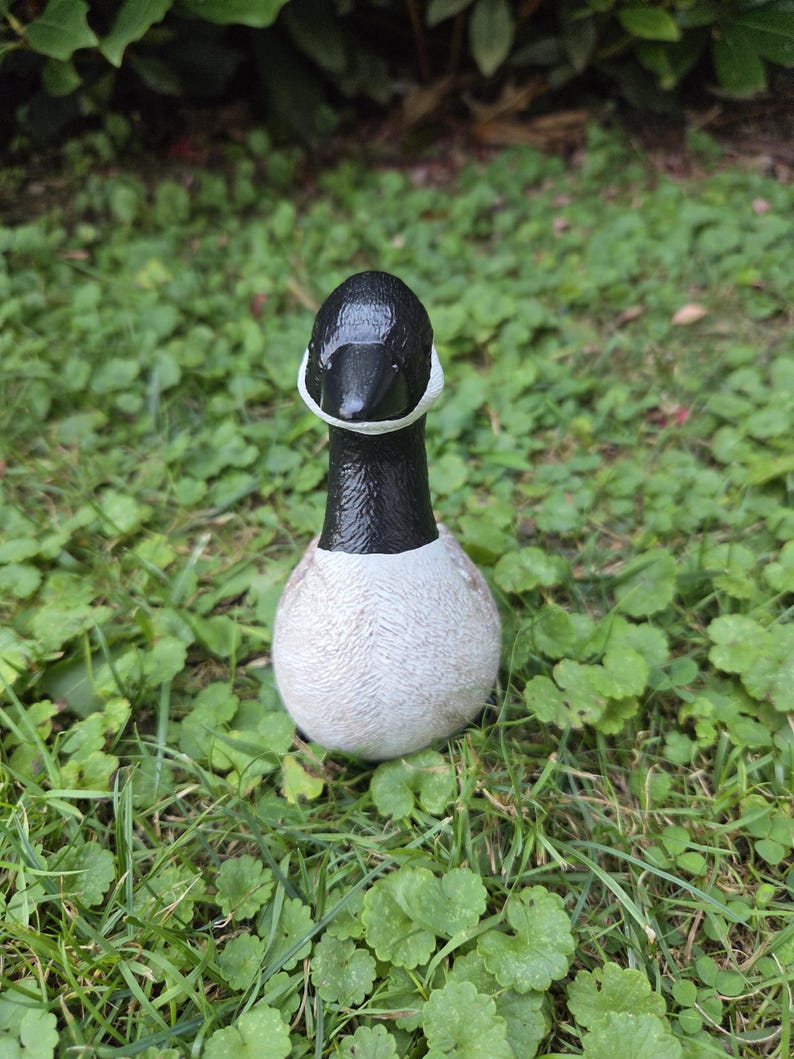 K&ouml;nnte beinhalten: Eine Keramikgansfigur mit schwarzem Kopf und Hals, einem wei&szlig;en Wangenfleck und einem strukturierten, hellfarbigen K&ouml;rper. Die Gans befindet sich in der Mitte des Bildes, umgeben von gr&uuml;nem Gras und Bl&auml;ttern.