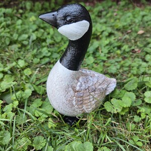 K&ouml;nnte beinhalten: Handbemalte G&auml;nsefigur mit schwarzem Kopf und Hals, wei&szlig;en Wangen und einem hellgrauen K&ouml;rper mit braunen Fl&uuml;geldarstellungen. Die Gans ist in einer grasbewachsenen Umgebung platziert, die ihre realistischen Merkmale und Texturen hervorhebt.
