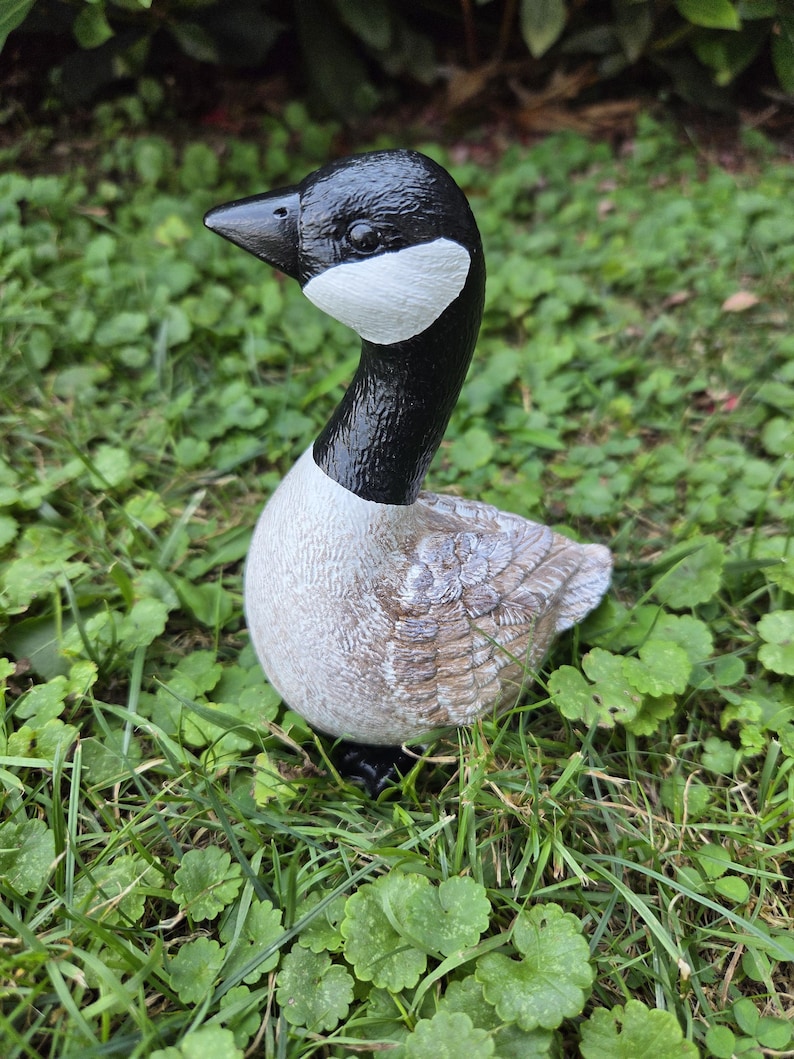 K&ouml;nnte beinhalten: Handbemalte G&auml;nsefigur mit schwarzem Kopf und Hals, wei&szlig;en Wangen und einem hellgrauen K&ouml;rper mit braunen Fl&uuml;geldarstellungen. Die Gans ist in einer grasbewachsenen Umgebung platziert, die ihre realistischen Merkmale und Texturen hervorhebt.