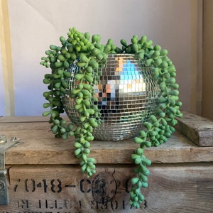 High Quality Glass 6 Inch Disco Ball Indoor Planter pot with or without drainage