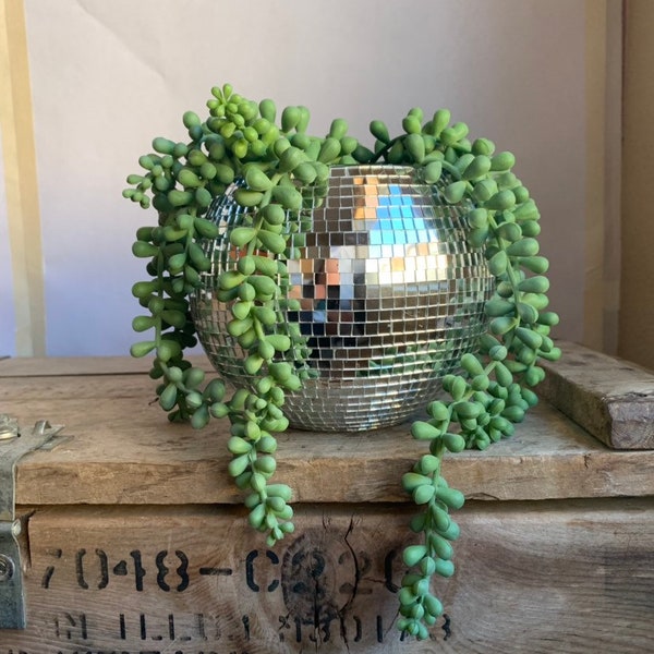 High Quality Glass 6 Inch Disco Ball Indoor Planter pot with or without drainage