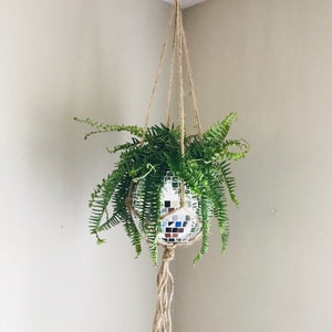 May include: A green fern plant hanging from the ceiling in a mirrored disco ball planter. The planter is suspended by a natural fibre rope.