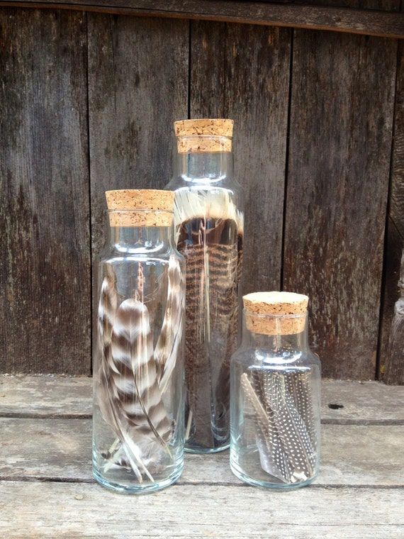 Items similar to Large Tall Bottles With Corks Filled With Feathers